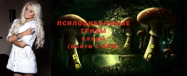 гидра Балабаново